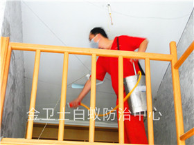 宣嘉华庭白蚁防治