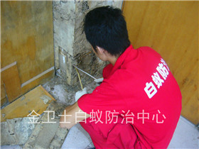 盐田倚天阁半山别墅区活体白蚁灭治工程