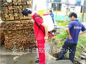 深圳奥美斯办公家私厂定期白蚁防治服务
