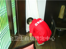 中国电信深圳分公司营业厅白蚁防治服务