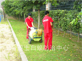 深圳龙岗区愉林新苑白蚁灭治服务