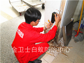 深圳福田区鹏益花园白蚁防治服务