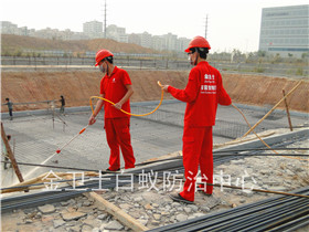 东江科技工业园土建白蚁预防工程