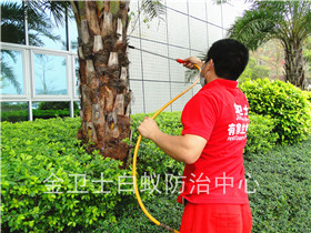 深圳福田区雅颂居花园白蚁防治服务