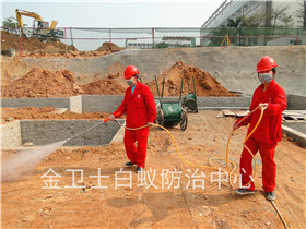 公明实验学校土建白蚁预防工程