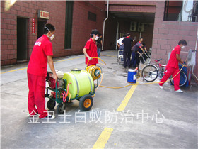 宝安松岗中海西岸华府白蚁防治服务